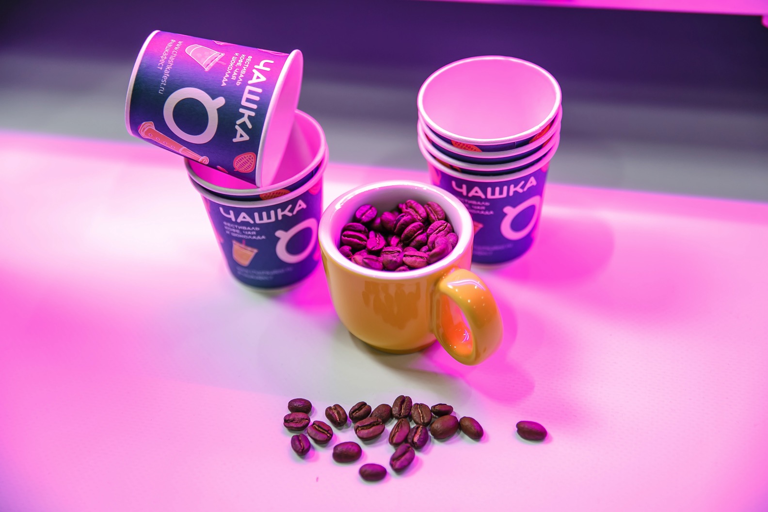 Фестиваль ЧАШКА - 8.jpg